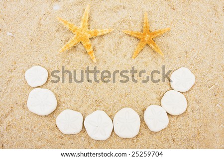 Starfish and sand dollars making a happy face on sand, shell happy face