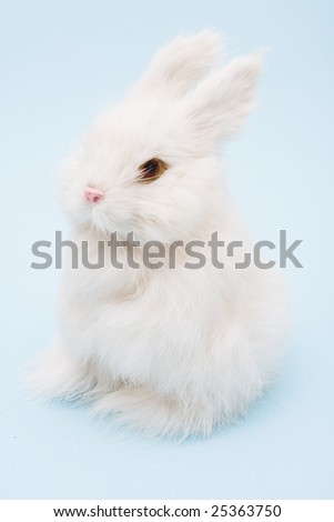 White bunny rabbit sitting on a blue background, bunny