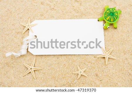 A turtle and starfish sitting on a sand background, starfish and turtle