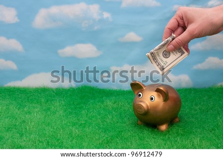 A gold piggy bank on grass with sky background with a hand and money, Adding to you savings