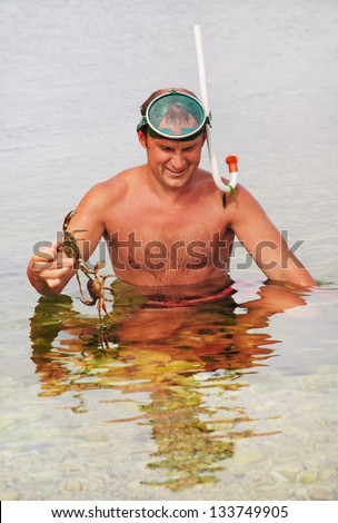 Man in water in snorkel and mask catch the crabs