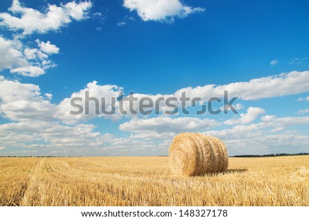 panorama of harvested field with straw bales in summer bright day with blue sky