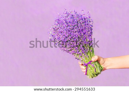 Lavender flowers bouquet with violet color bow in woman hand against field background