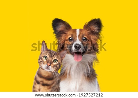 Image, Stock Photo Two beautiful pets Happy