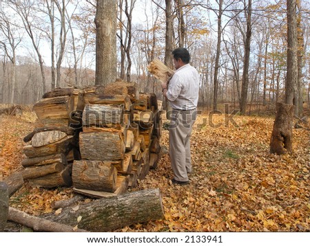 Homeowner removes wood for burning. Soaring energy prices make this a nice reducer of energy bills.