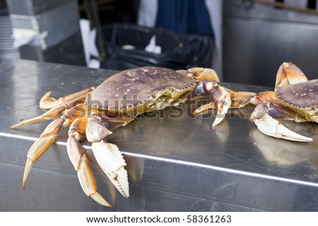 crab at the market