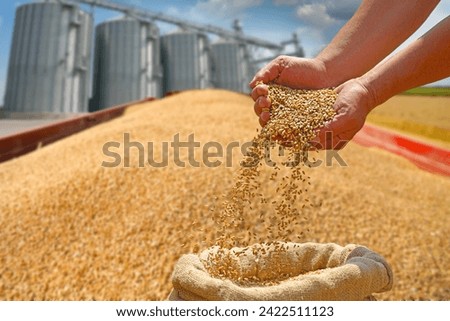 Similar – Image, Stock Photo Farmer on a tractor digs out potatoes from soil. Extract root vegetables to surface. Harvesting potatoes in autumn. Farming and farmland. Agricultural work in the field. Countryside.