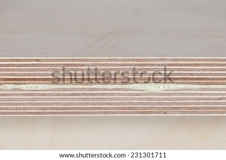 putting glue on a piece of plywood. closeup of two wood sticks with white glue
