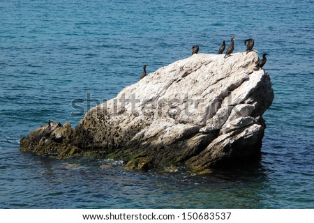 Rock with cormorants birds in protected natural undersea park Miramare, Adriatic sea, Italy, EU.
