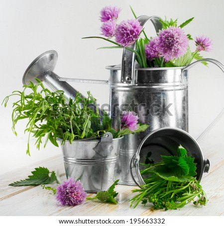 Various fresh herbs on a wooden table . Selective focus