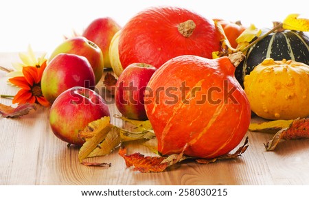 Orange Pumpkins with apples and  fall leaves isolated on white background. Selective focus