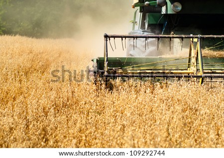 Harvesting machine in wheat crops