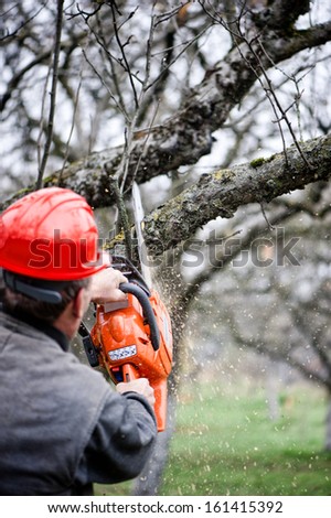 Adult cutting trees with chainsaw and tools