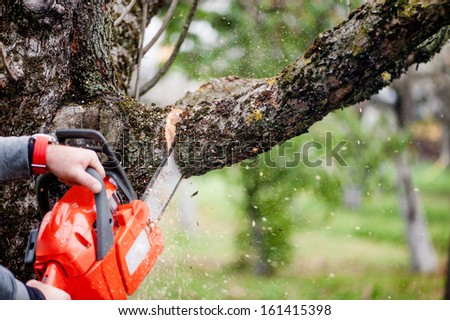 Similar – Image, Stock Photo Cutting trees using an electrical chainsaw in the forest.