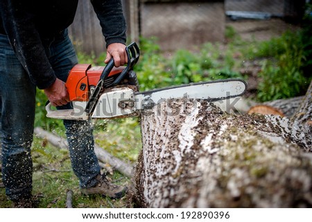 man cutting trees using an electrical chainsaw and professional tools
