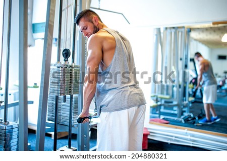 Gym triceps Images - Search Images on Everypixel