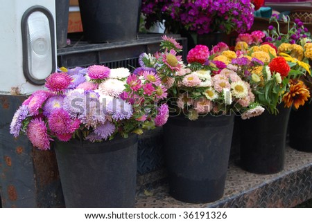 Buckets full of flowers on the tailgate of a truck at a Farmers Market
