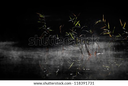 Natural background with green coastal reed above dark lake water with mist