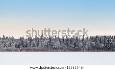Wide empty panoramic background landscape with coastal forest on frozen lake in winter season, Karelia, Russia