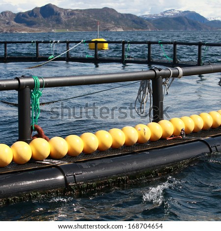 Fragment of fish farm for salmon growing in Norwegian Sea