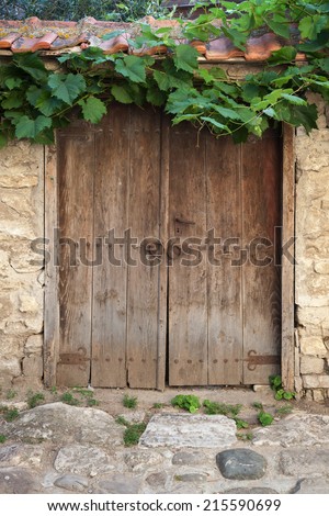 Old wooden door and vine on stone wall