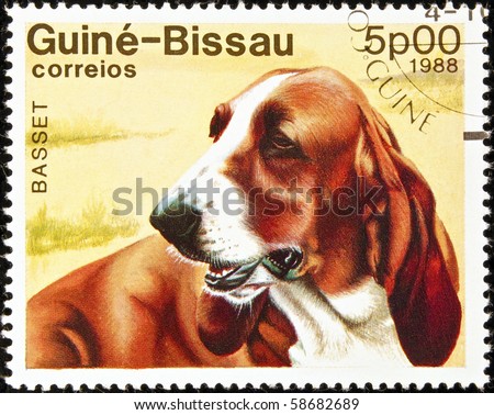 GUINEA-BISSAU - circa 1988:postage stamp features a Basset dog, circa 1988 in the Republic of Guinea-Bissau, West Africa.
