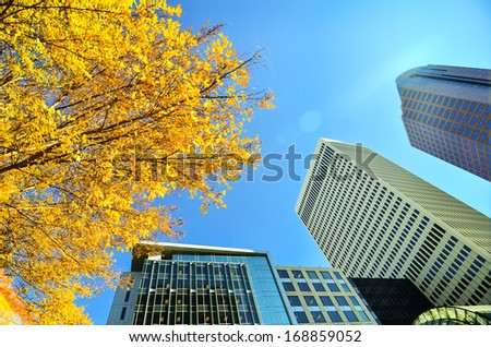 looking up at tall skyscrapers during fall season