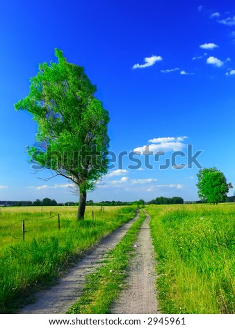 Country road in green field with deep blue sky
