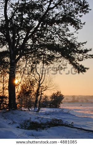 Winter sunset silhouette