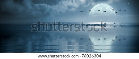 A flock of birds flying over the ocean at fullmoon