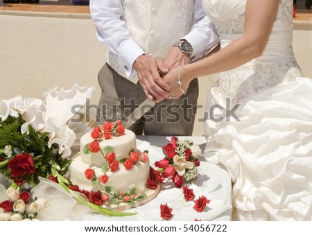 Bride and Groom Cutting the Wedding Cake