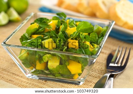 Fresh watercress, mango and avocado salad in glass bowl with fork and knife on the side and bread in the back (Selective Focus, Focus on the mango and avocado pieces in the front)