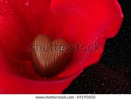 Milk chocolate heart enclosed by red rose petals sprinkled by water drops photographed on black (Selective Focus, Focus on the chocolate heart)