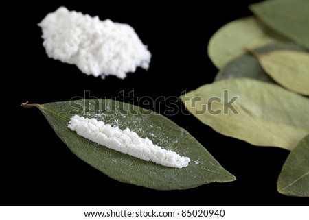 Cocaine powder (substituted by flour) in line ready on a dried coca leaf with dried coca leaves and a pile of cocaine in the back (Selective Focus, Focus on the front of the cocaine line)