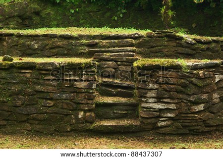 Old stone stairs leading to a terrace on which the people of Tayrona had built their huts in Ciudad Perdida (Lost City), close to Santa Marta in Sierra Neveda, Northern Colombia