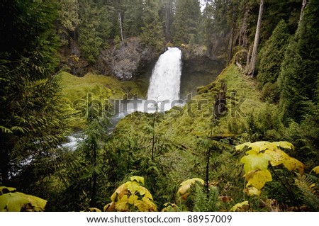 upper Sahalie Falls, Oregon, Mckenzie River, time of year is early November, very lush and green surroundings, flowing over a lava dam