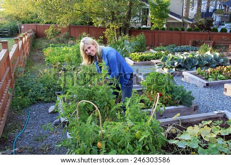 Smiling lady gardener in a community vegetable garden.