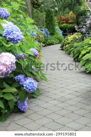 Beautiful shaded garden path lined with hydrangea and hosta.