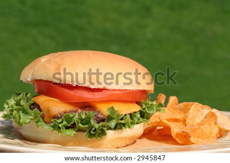 Perfect cheeseburger with chips, outside.