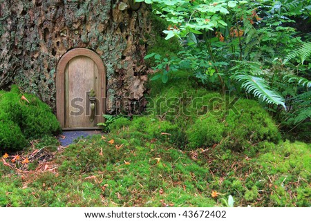 Little wooden fairy tale door in a tree trunk.