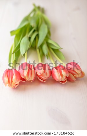 Tulips on white wood table