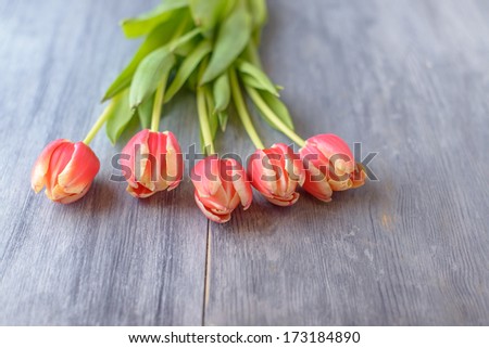 Tulips on gray wood table