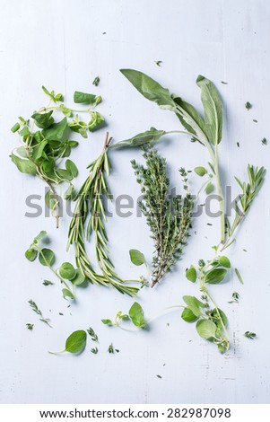Assortment of fresh herbs thyme, rosemary, sage and oregano over light blue wooden background. Top view