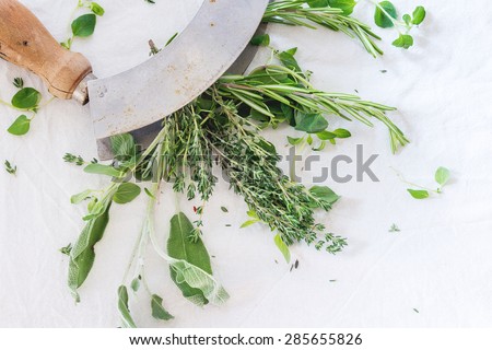 Assortment of fresh herbs thyme, rosemary, sage and oregano with vintage herb\'s cutter on white textile as background. Top view.