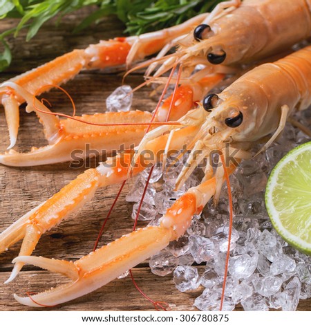 Raw langoustines on ice with herbs and lemon over wooden background. Square image with selective focus