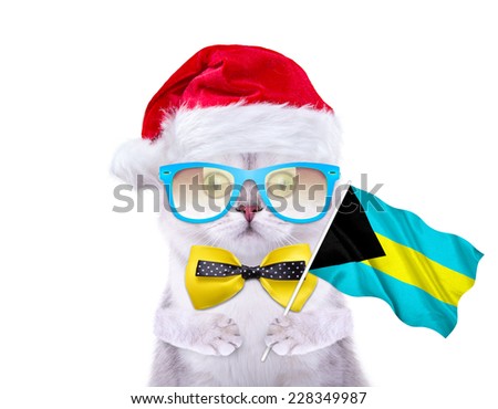Beautiful British cat with flag of Bahamas goes on Christmas travel. Cap of Santa Claus. New Year\'s holidays