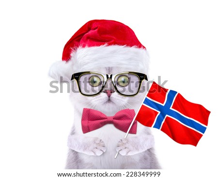 Beautiful British cat with flag of Norway goes on Christmas travel. Cap of Santa Claus. New Year\'s holidays