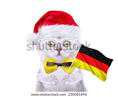 Beautiful British cat with flag of Germany goes on Christmas travel. Cap of Santa Claus. New Year\'s holidays