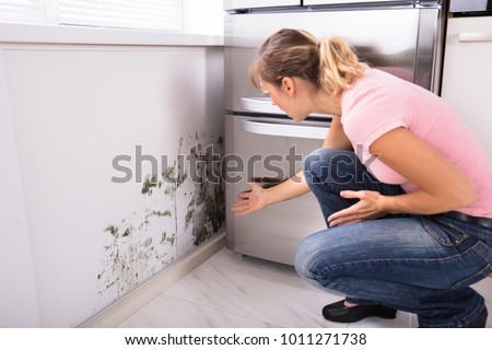 Close-up Of A Shocked Woman Looking At Mold On Wall 商業照片 © 