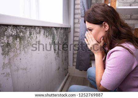 Side View Of A Shocked Young Woman Looking At Mold On Wall 商業照片 © 